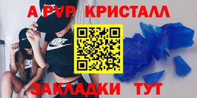 спиды Донской