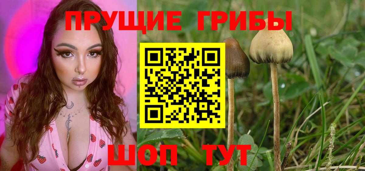 Галлюциногенные грибы Magic Shrooms Шуя