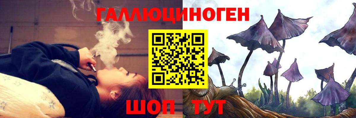 Шуя  Псилоцибиновые грибы Psilocybe  Вход с VPN 